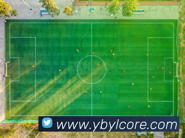 App Interface Preview